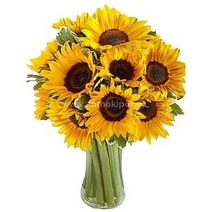 Bouquet of sunflowers in glass vase