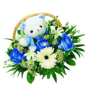 Flower arrangements for newborn baby to Alexandra maternity