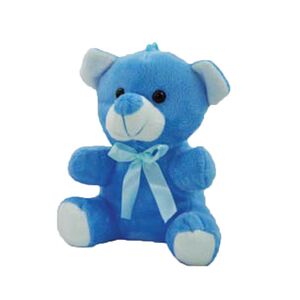 Teddy bear for newborn boy