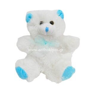 Teddy bear for newborn boy