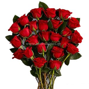 Τριαντάφυλλα κόκκινα (44τεμ.)