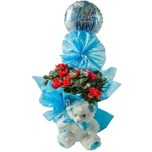 Flower arrangement for newborn baby boy consists of azalea plant, teddy bear and balloon