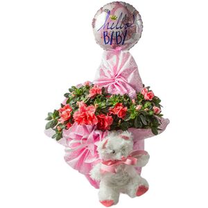 Flower arrangement for newborn baby girl consists of azalea plant, teddy bear and balloon