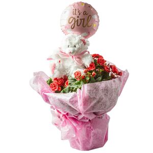 Flower arrangement for newborn baby girl consists of begonia plant, teddy bear and balloon
