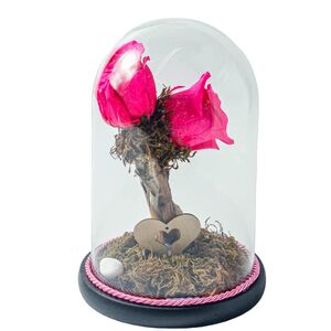 Glass bell with two fucksia roses that live for ever