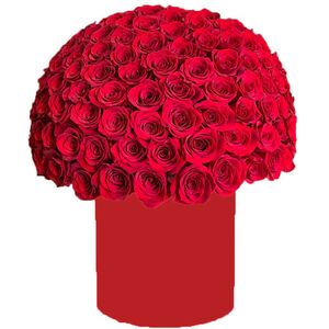 Red hat box with red roses