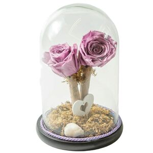 Glass bell with two lilac roses that live for ever