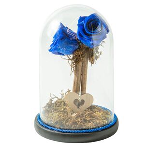 Glass bell with two blue roses that live for ever