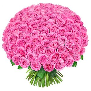 101 pink roses in bouquet