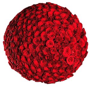 200 red roses in bouquet