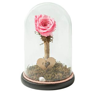Glass bell with pink rose that lives for ever