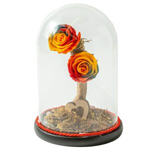 Glass bell with two rainbow roses that live for ever