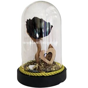 Glass led bell with black rose that lives for ever