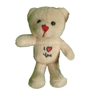 Teddy bear i love you