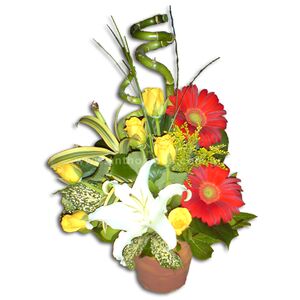 Flower arrangement in ceramic pot