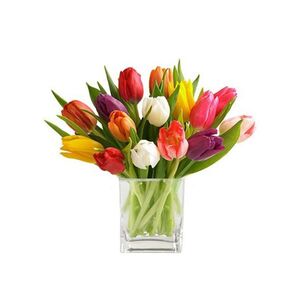Bouquet with tulips in glass vase