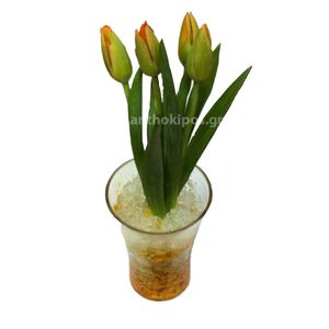 Tulips in glass