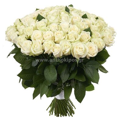 101 λευκά τριαντάφυλλα σε μπουκέτο