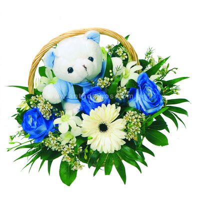 Flower arrangements for newborn baby to Iaso maternity