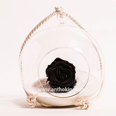 Glass ball with black rose that lives for ever
