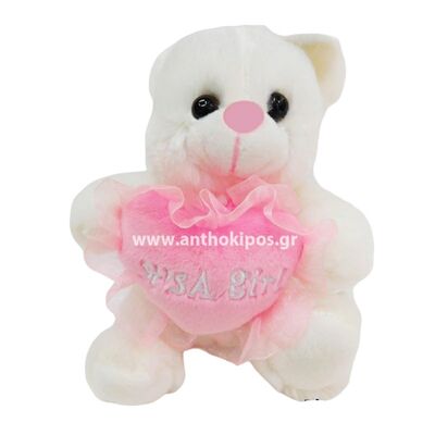 Teddy bear with heart it's a girl