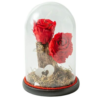 Glass bell with two red roses that live for ever