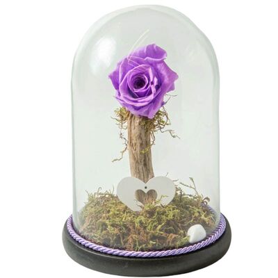 Glass bell with lilac rose that lives for ever