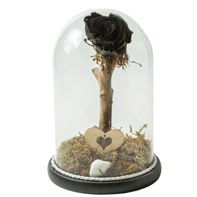Glass bell with black rose that lives for ever
