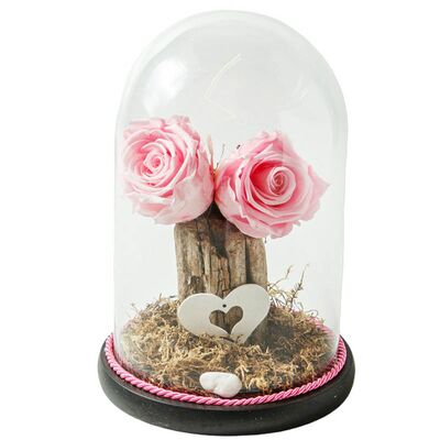 Glass bell with two pink roses that live for ever