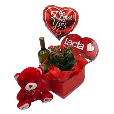 Set of love with kalachoe plant, wine, teddy bear, balloon and chocolates