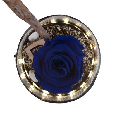Γυάλινη led καμπάνα με μπλε τριαντάφυλλο που ζει για πάντα