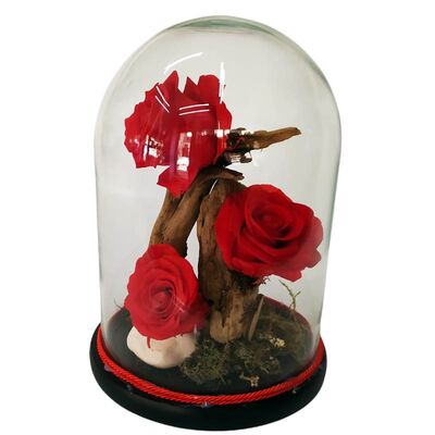 Glass bell with three red roses that live for ever