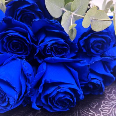 Dozen of blue roses (12pcs.)