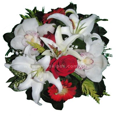 Υπέροχα λουλούδια σε άσπρη-κόκκινη απόχρωση