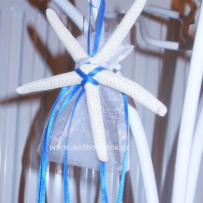 Wedding Favor starfish with blue ribbons