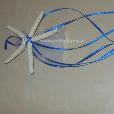 Wedding Favor starfish with blue ribbons