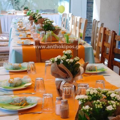 Christening for a boy with table decoration with kalachoea plants
