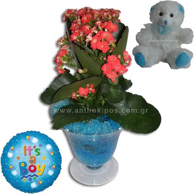 Arrangement for newborn baby boy with teddy bear and balloon