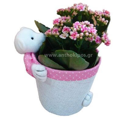 Flower arrangement for newborn baby girl