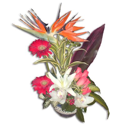 Σύνθεση με λουλούδια σε πήλινο κασπώ