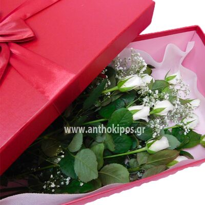 White roses in red box