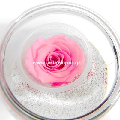 Pink rose that live for ever in fish ball