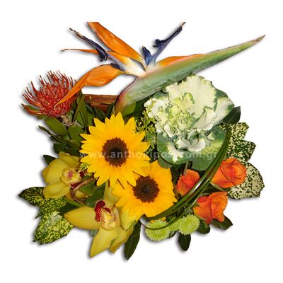Σύνθεση με λουλούδια σε μπαουλάκι με πορτοκαλί τριαντάφυλλα, κίτρινες ορχιδέες(σιμπίτιουμ), κίτρινες ζέρμπερες, πουλί του παραδείσου και φυλλώματα εισαγωγής