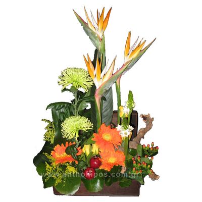 Flower Arrangement in trunk with yellow roses, orange gerberes, birds of paradise and import folliages