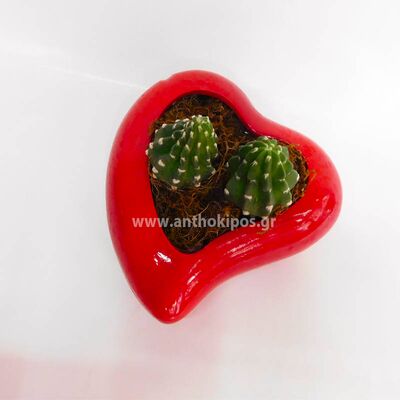 Cactus in heart