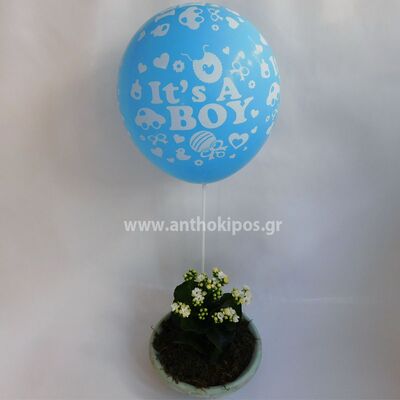Flower arrangement for newborn baby boy