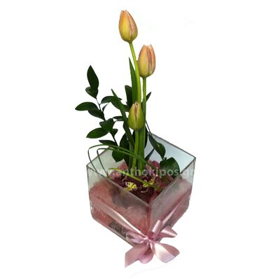 Tulips and orchids in glass