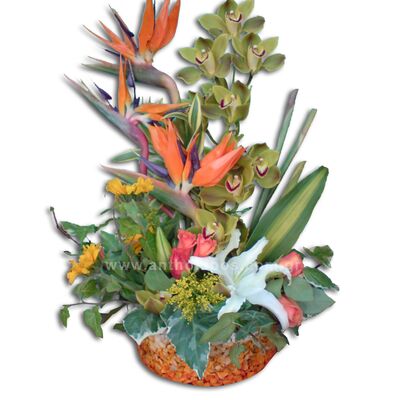 Roses, Orchids, Oriental and Birds of Paradise in Glass