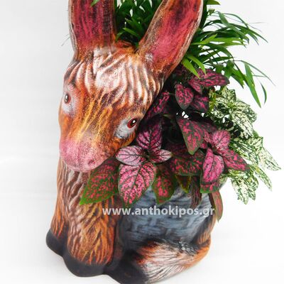 Plant arrangement in clay base (donkey with plants)