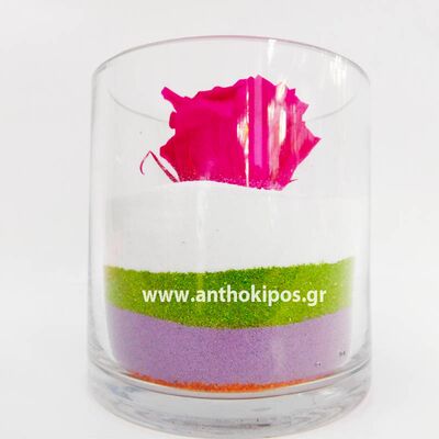 Fucksia rose that live for ever in glass